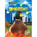 Ducks