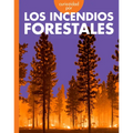 Curiosidad Por Los Incendios Forestales