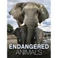 Endangered Animals