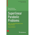 Superlinear Parabolic Problems: Blow-Up, Global Existence and Steady States