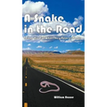 A Snake in the Road: A different take on the U.S. involvement in Vietnam