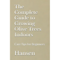 The Complete Guide to Growing Olive Trees Indoors: Care Tips for Beginners