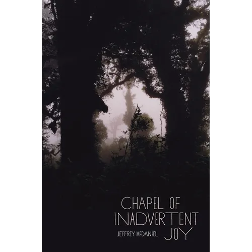 Chapel of Inadvertent Joy