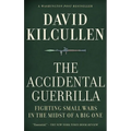 Accidental Guerrilla: Fighting Small Wars in the Midst of a Big One