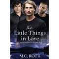 The Little Things in Love