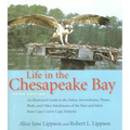 Life in the Chesapeake Bay