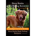 Nova Scotia Duck Tolling Retriever Training Book By D!G THIS DOG Training, Training Begins from the Car Ride Home, Nova Scotia Duck Tolling Retriever