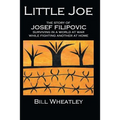 Little Joe - The Story of Josef Filipovic Surviving in a World at War While Fighting Another at Home