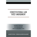 Constitutional Law First Amendment: Freedom of Expression, Free Speech Doctrine and the Establishment Clause