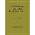 Cosmic Strings and Other Topological Defects