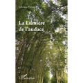 La Lumière de l'audace
