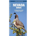 Nevada Birds: A Folding Pocket Guide to Familiar Species