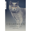 Chartreux: Cat Breed Complete Guide