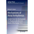 Mechanisms of Atrial Arrhythmias: Insights from the Development of a Biophysically Detailed Model of the Human Atria