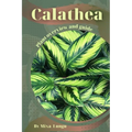 Calathea: Plant overview and guide
