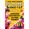 Awesome Electricity and Mad Magnets