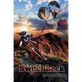 Switchback