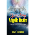 Operating in the Angelic Realm: Prayers that Activate the Ministry of Angels