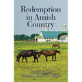 Redemption in Amish Country