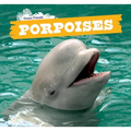 Porpoises