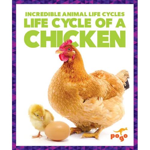 Life Cycle of a Chicken - Paperback