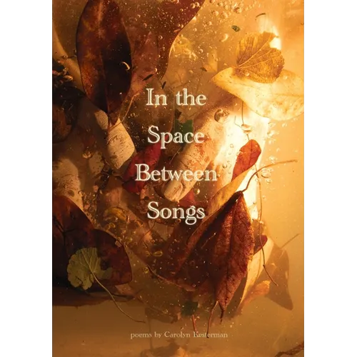 In the Space Between Songs