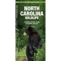 Maine Wildlife: A Folding Pocket Guide to Familiar Animals