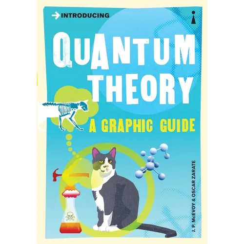Introducing Quantum Theory: A Graphic Guide