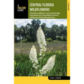 Central Florida Wildflowers