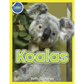 Koala Activity Workbook ages 4-8