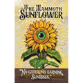 The Mammoth Sunflower