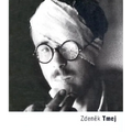 Zden K Tmej: Totaleisatz