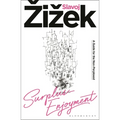 Surplus-Enjoyment: A Guide for the Non-Perplexed