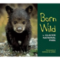 Born Wild in Glacier National Park