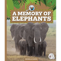 A Memory of Elephants