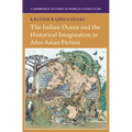 The Indian Ocean and the Historical Imagination in Afro-Asian Fiction