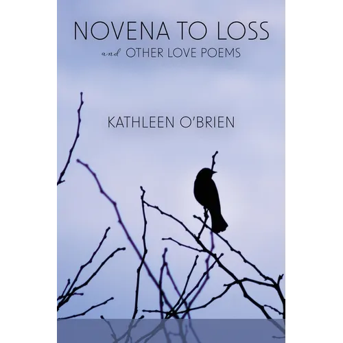 Novena to Loss and Other Love Poems