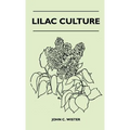 Lilac Culture