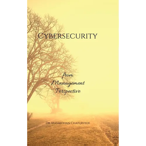 Cybersecurity: from Management Perspective