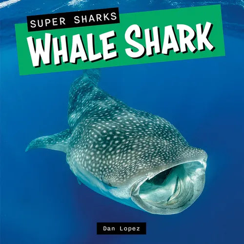 Whale Shark