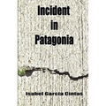 Incident in Patagonia