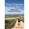 There's Something Going On!: Walking the Camino de Santiago