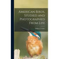 American Birds, Studied and Photographed From Life