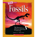 Fossils (a True Book: Earth Science)