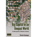 Big Capital in an Unequal World: The Micropolitics of Wealth in Pakistan
