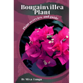 Bougainvillea Plant: Plant overview and guide