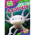 Axolotls