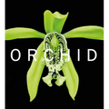 Orchid: Marie Selby Botanical Gardens