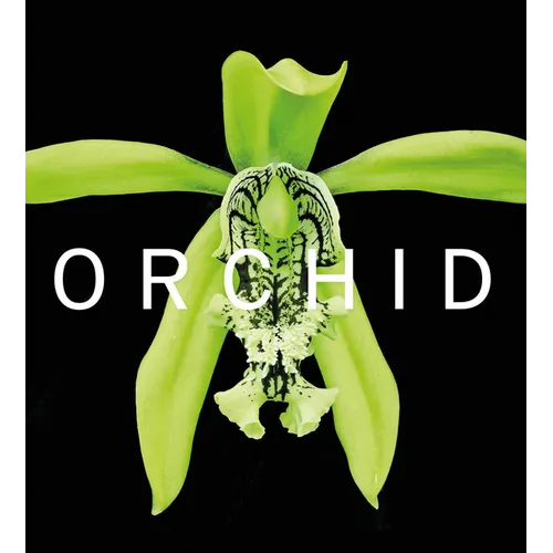 Orchid: Marie Selby Botanical Gardens