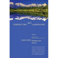 Correcting the Landscape